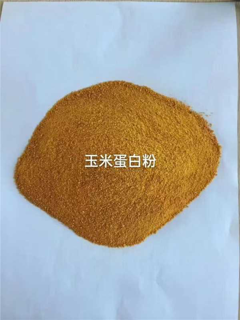 优质玉米蛋白粉，产区直供，量大从优，欢迎各大采购商