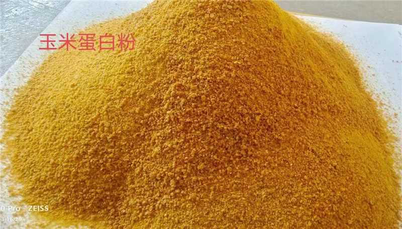 优质玉米蛋白粉，产区直供，量大从优，欢迎各大采购商