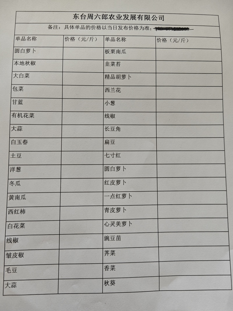 黄心白菜盐城白菜南通白菜东台白菜产地种植