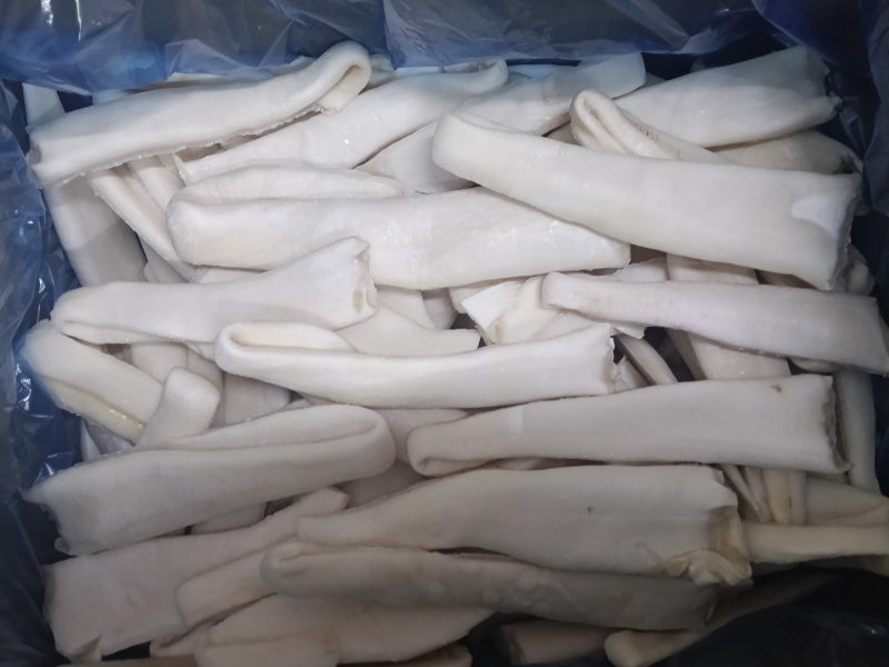 象拔蚌，海笋贝，单冻象拔蚌，厂家直供，一手货源，常年供应