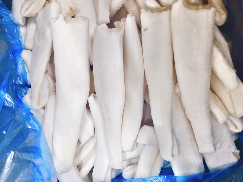 象拔蚌，海笋贝，单冻象拔蚌，厂家直供，一手货源，常年供应