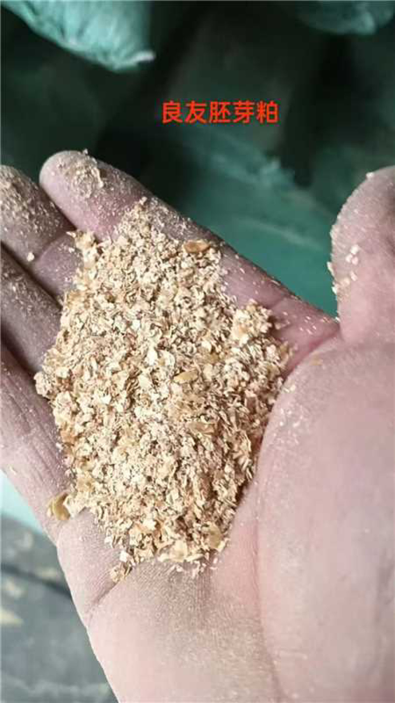 玉米胚芽粕（山东装）保质保量/量大从优/欢迎采购