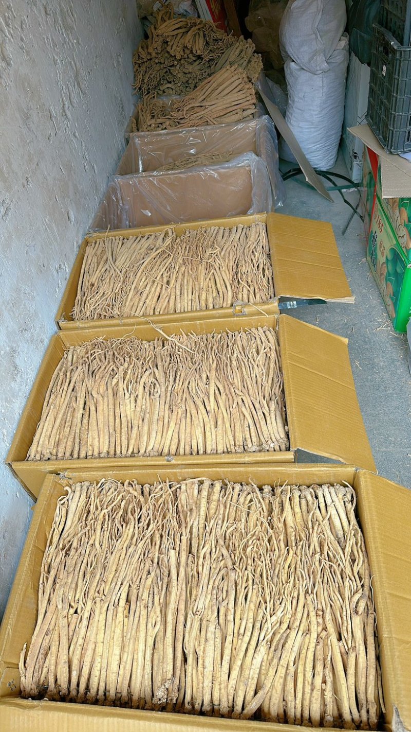 甘肃陇西白条党参，产地货源大量批发，精选无硫全干货