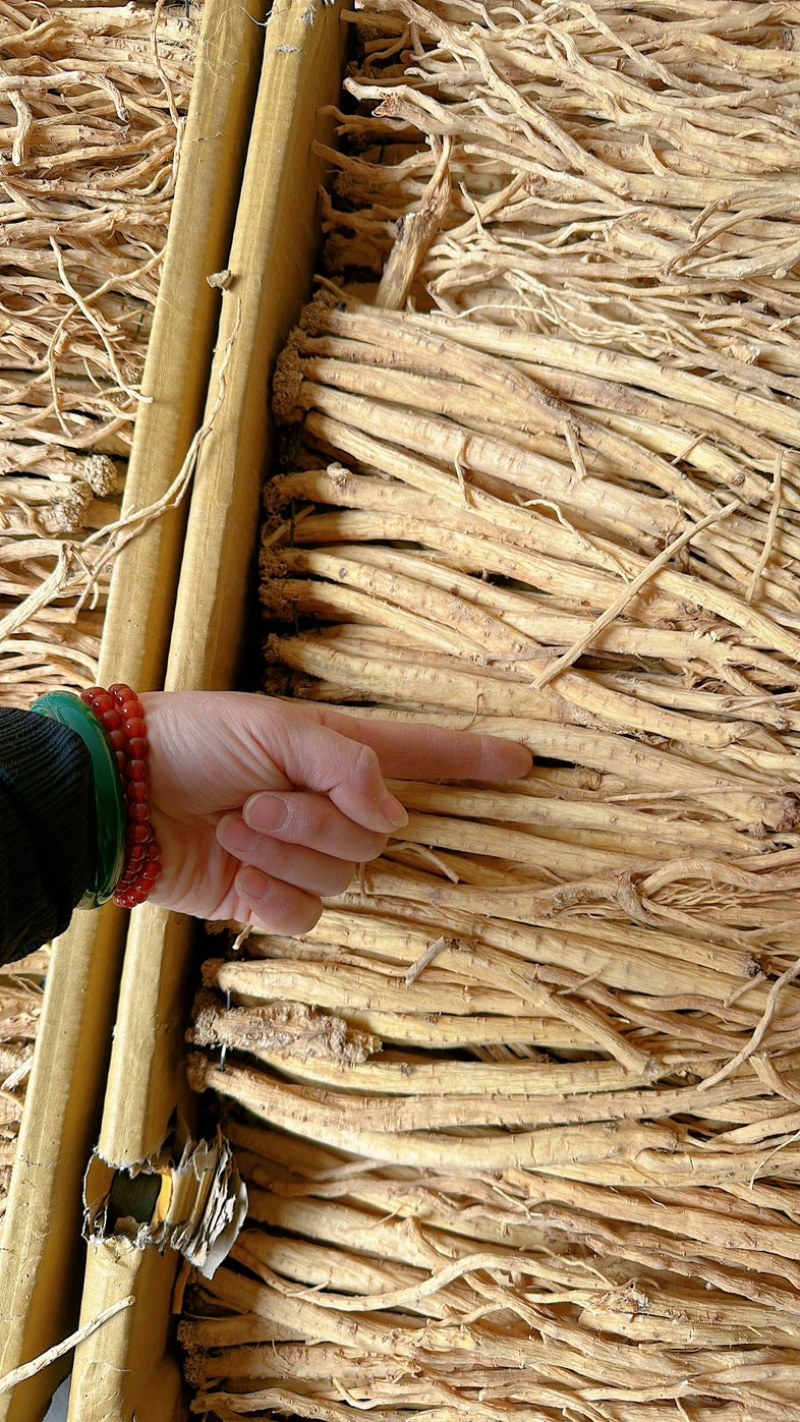 甘肃陇西白条党参，产地货源大量批发，精选无硫全干货