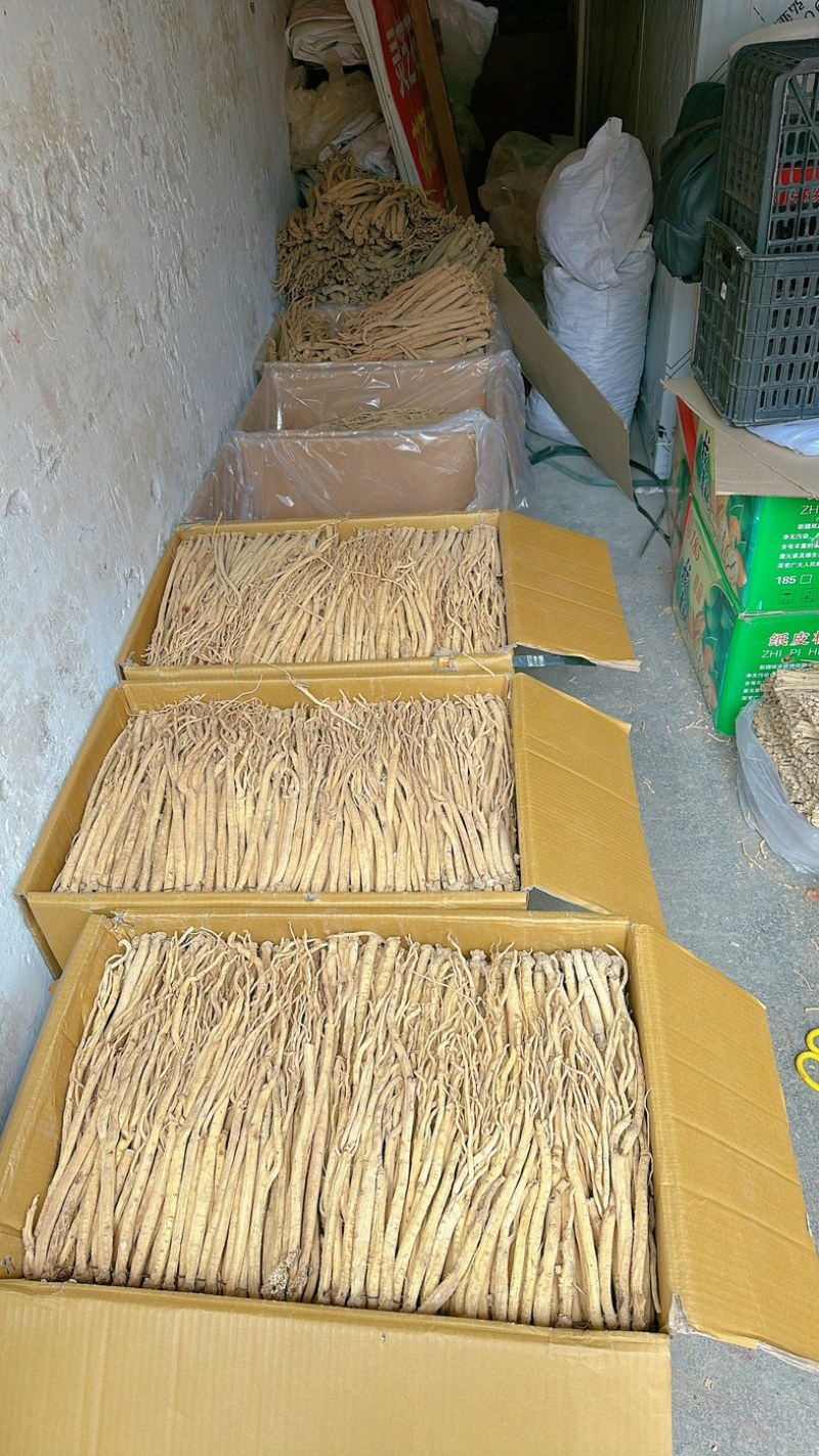 甘肃陇西白条党参，产地货源大量批发，精选无硫全干货