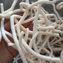 通草小通草批发各种中药材量大优惠