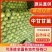 山东单县中甘甘蓝鲜绿翠嫩产地直发质量保证欢迎来电