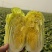 湖北大娃娃菜,产地直发品质保证市场商超配送中心合作共赢
