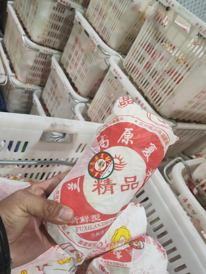 湖北大娃娃菜，产地直发品质保证市场商超配送中心合作共赢