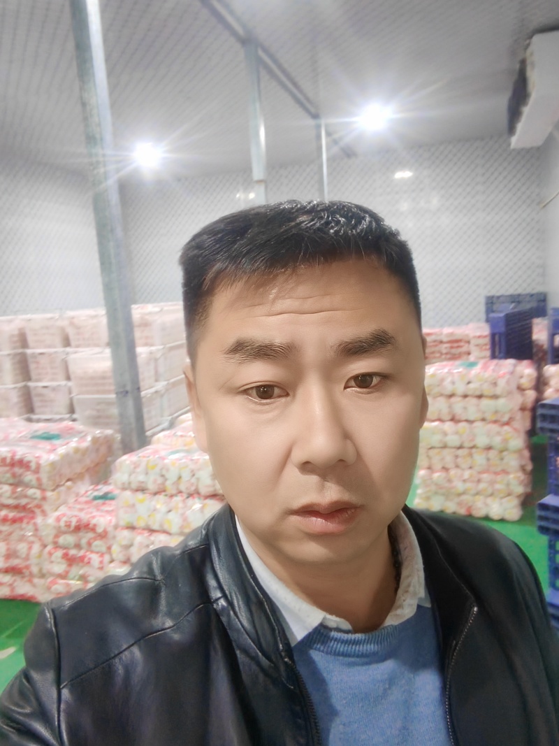 湖北大娃娃菜，产地直发品质保证市场商超配送中心合作共赢