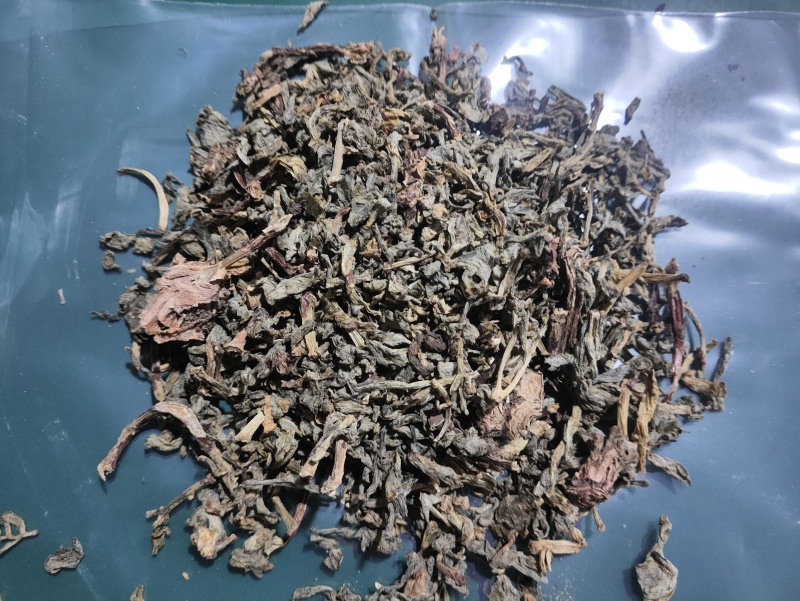景天三七