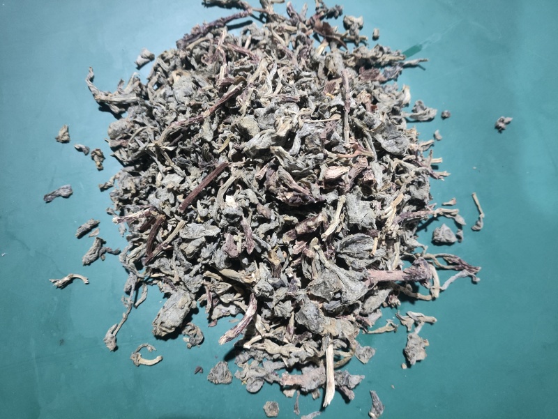 景天三七