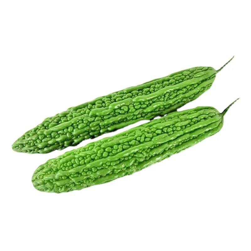 苦瓜苗大肉苦瓜苗翠绿苦瓜苗长绿苦瓜苗荷兰苦瓜苗带土大苗