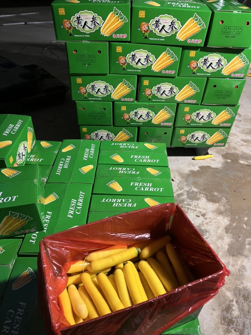 黄胡萝卜，产地直供！（水果黄心胡萝卜）当水果吃的胡萝卜！