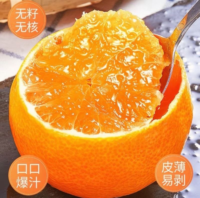 百亩爱媛橙皮薄多汁，香甜无渣可对接超市电商批发市场