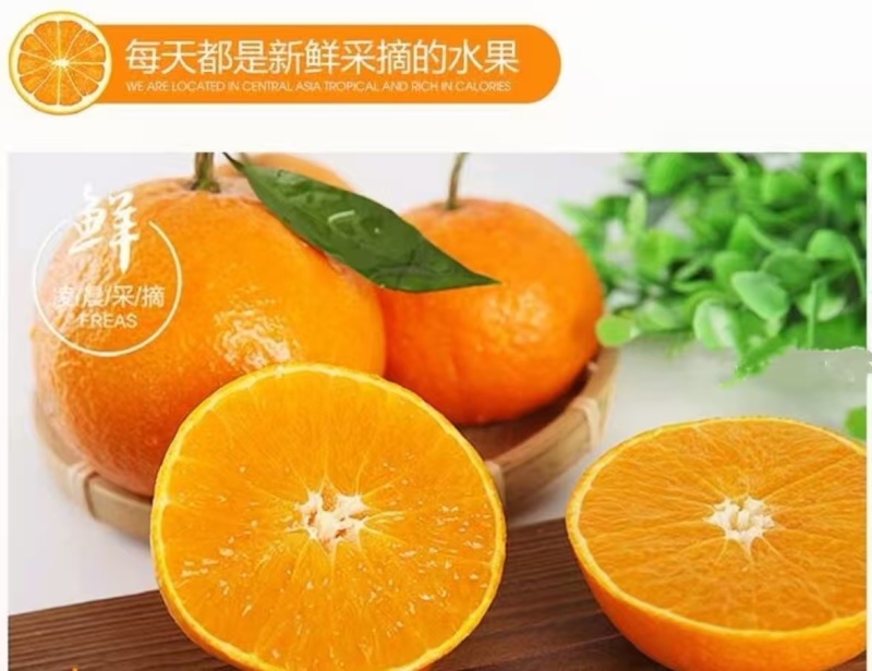 百亩爱媛橙皮薄多汁，香甜无渣可对接超市电商批发市场