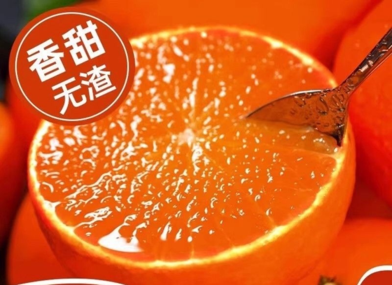 百亩爱媛橙皮薄多汁，香甜无渣可对接超市电商批发市场