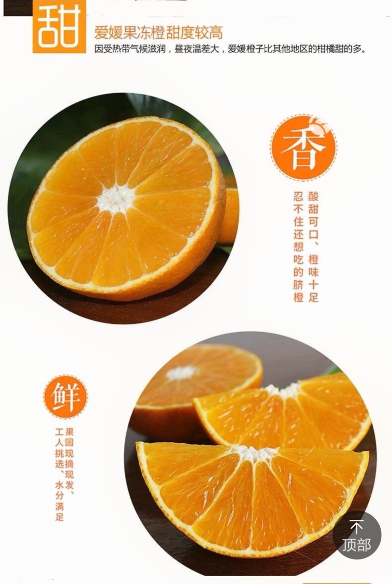 百亩爱媛橙皮薄多汁，香甜无渣可对接超市电商批发市场