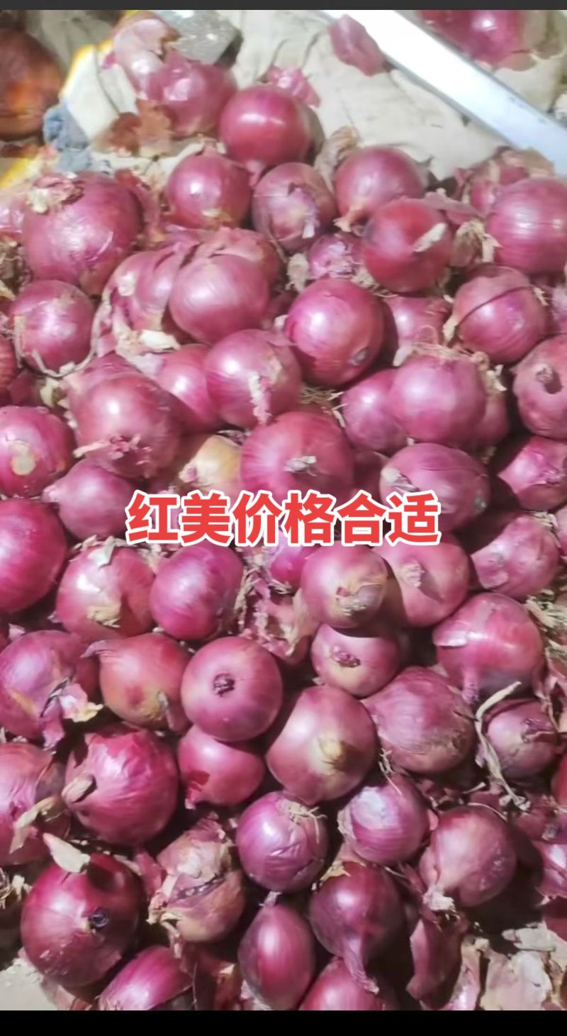 精品红美