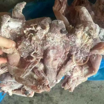 熟羊头肉