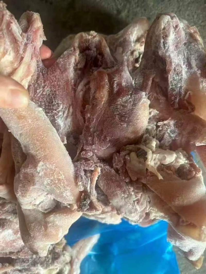 熟羊头肉