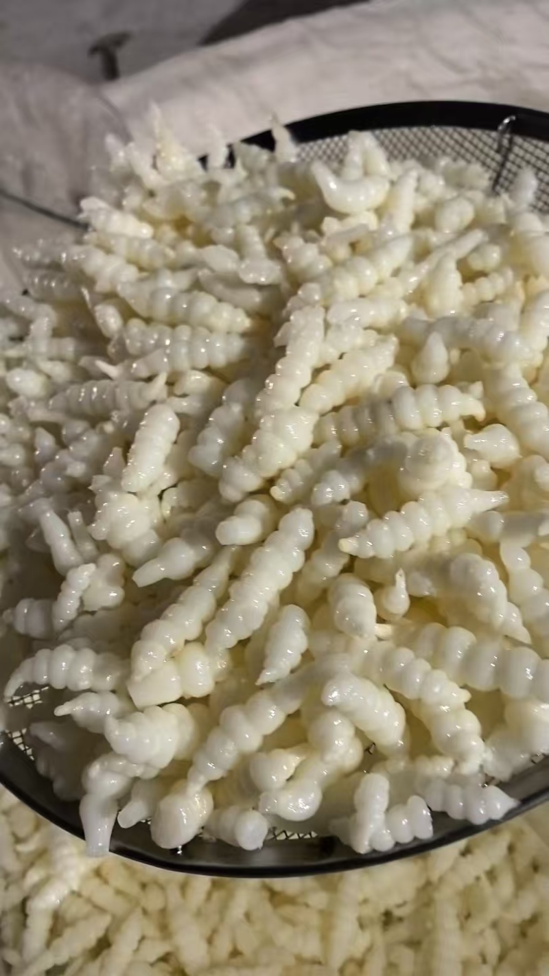 螺丝菜湖北螺丝菜云南螺丝菜/全国发货/颜色净/对接全国发