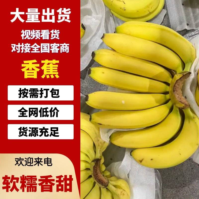 精品特价精品优质香蕉，无花皮无硬心无黑心香糯甜