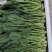 基地菠菜量大优惠