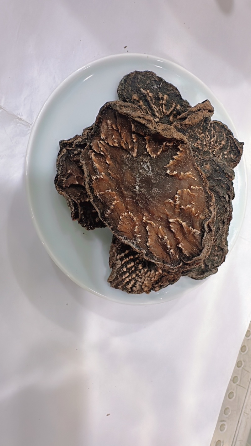 肉苁蓉片新疆肉苁蓉精选大片纹理清晰全干无硫新货