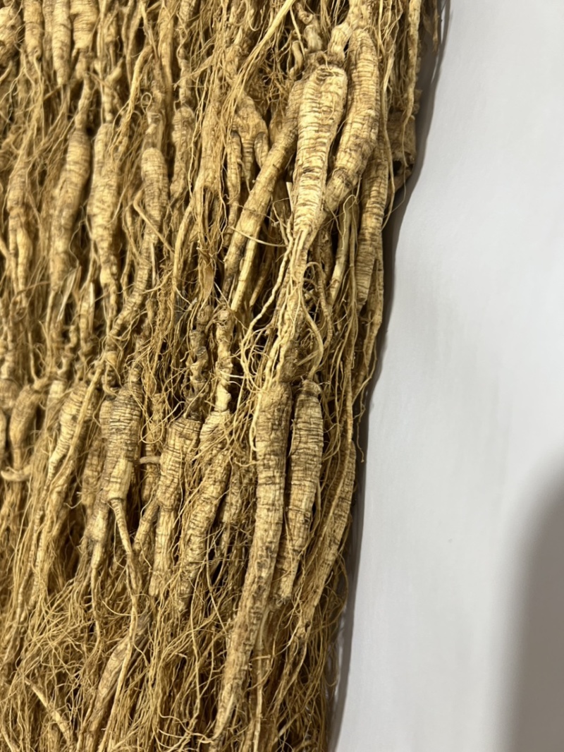 林下参池底14—5年，没有秀，打粉，煲汤，泡茶