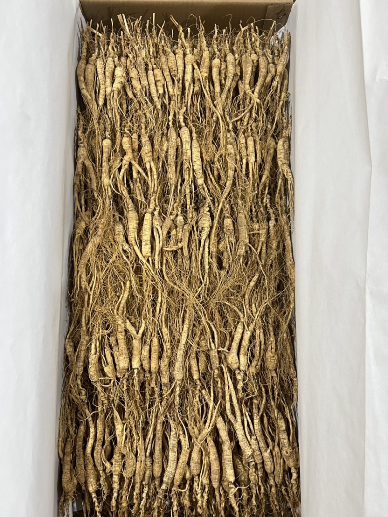 林下参池底14—5年，没有秀，打粉，煲汤，泡茶