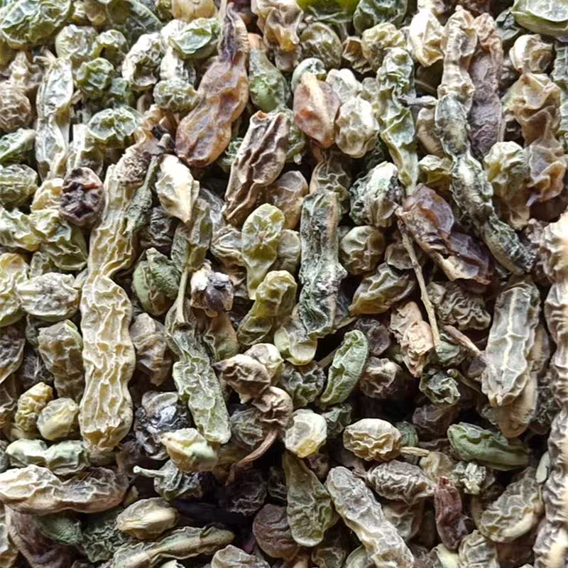 生槐角槐豆角槐实槐子槐连豆新货无硫保质保量