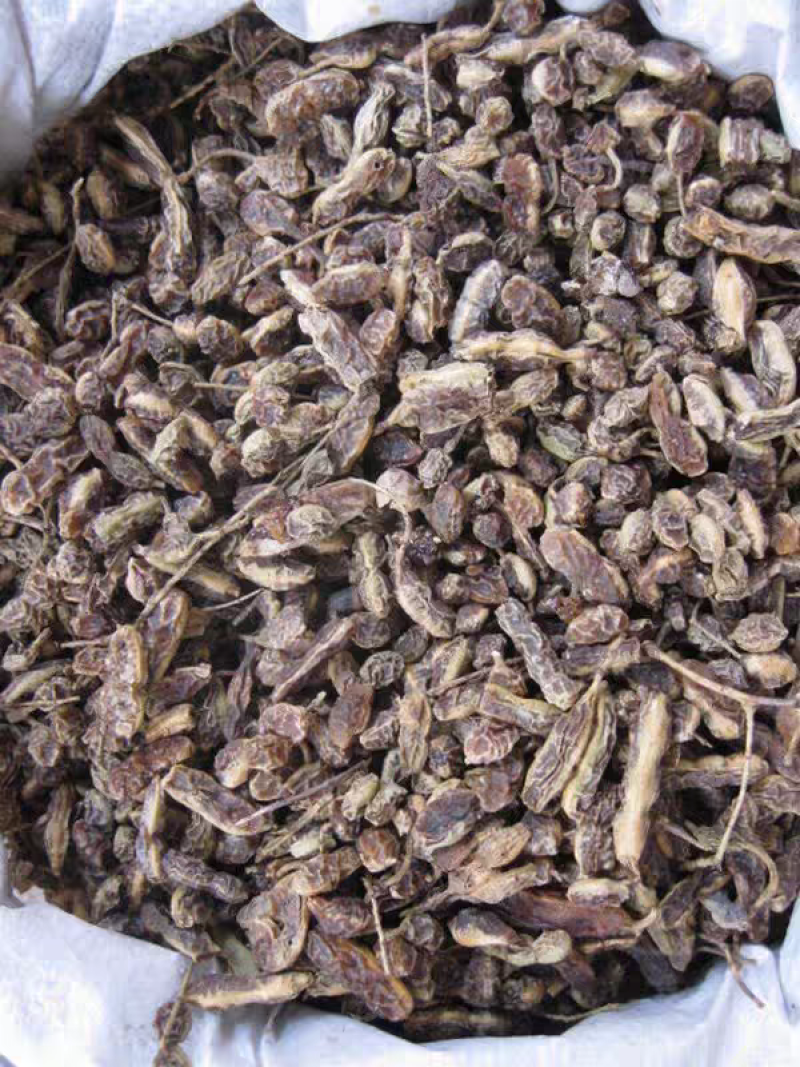 生槐角槐豆角槐实槐子槐连豆新货无硫保质保量
