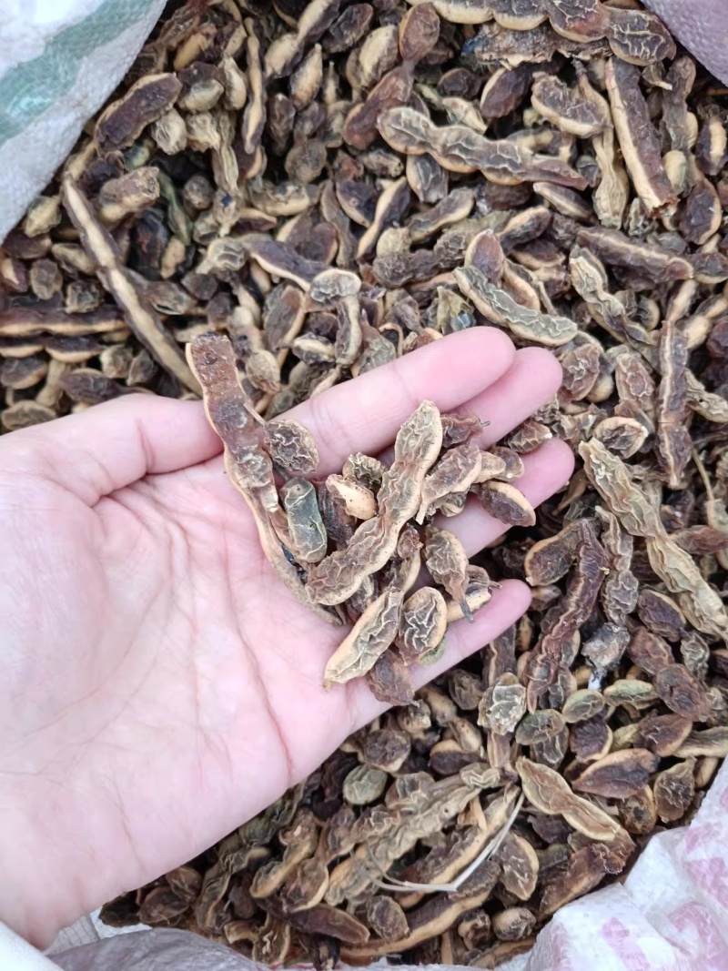 生槐角槐豆角槐实槐子槐连豆新货无硫保质保量