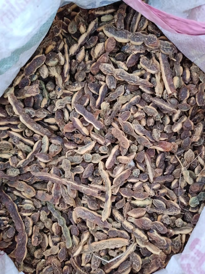 生槐角槐豆角槐实槐子槐连豆新货无硫保质保量