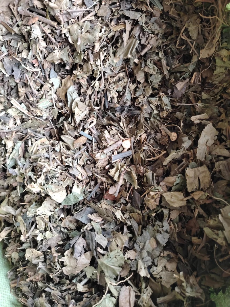 肿节风，九节茶，草珊瑚，新货供应，保质保量，大货批发