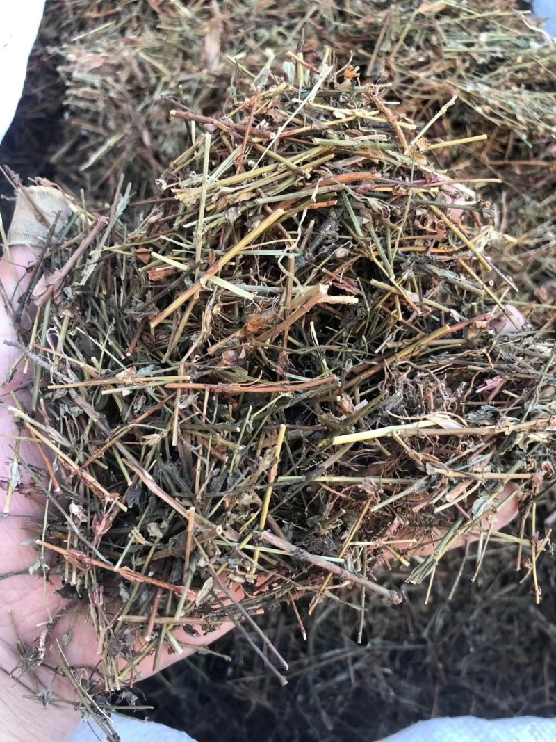 田基黄道地药材无硫***诚信经营保质保量大货供应