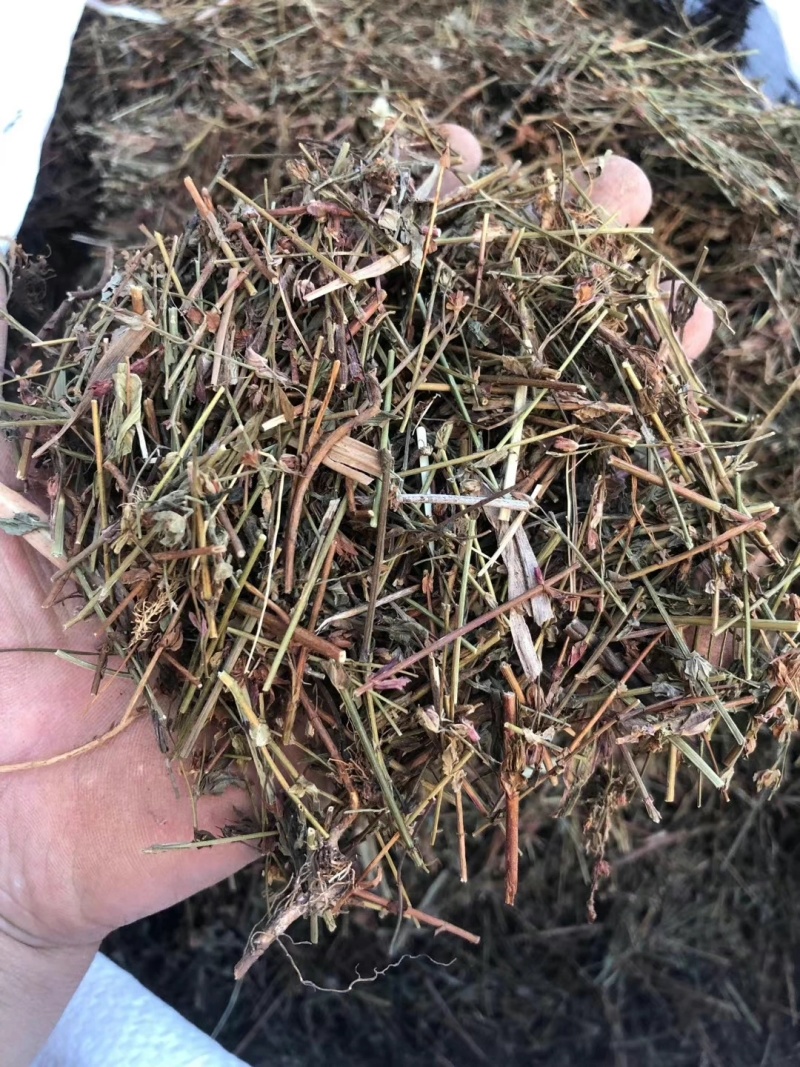 田基黄道地药材无硫***诚信经营保质保量大货供应