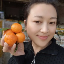 广西砂糖橘/砂糖橘/金秋砂糖橘/市场/商超全国/出口
