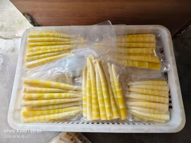 清水笋高山小竹笋罗汉笋产地直销批发