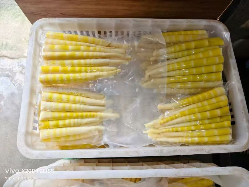 清水笋高山小竹笋罗汉笋产地直销批发