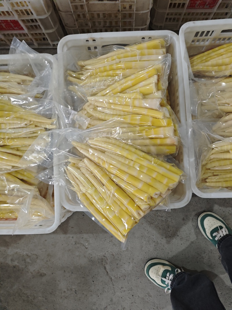 清水笋高山小竹笋罗汉笋产地直销批发