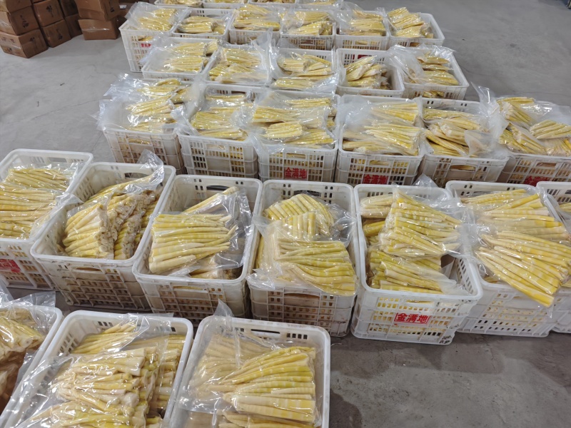 清水笋高山小竹笋罗汉笋产地直销批发