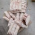 35-40小猪蹄子，