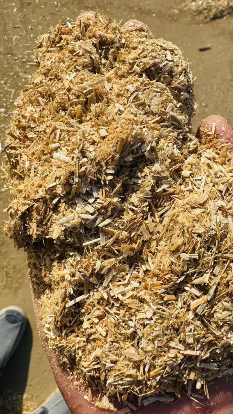 小麦秸秆粉喂牛羊的好帮手！适口性好，易消化！