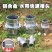 水管接管水带接头管子接口变经快速接头神器快接软管直接