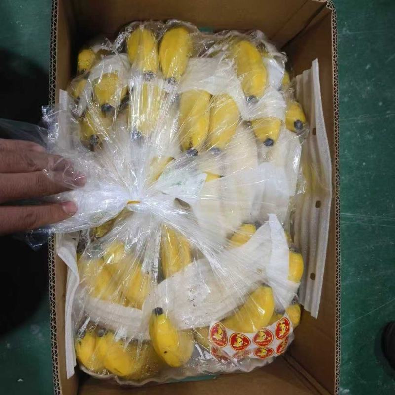元阳香蕉大量供应/对接市场商超水果店/规格齐全/量大从优