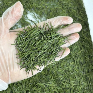 四川竹叶青茶2025新茶品质保证茶汤清香量大可走批发价
