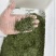 四川竹叶青茶2025新茶品质保证茶汤清香量大可走批发价