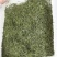 四川竹叶青茶2025新茶品质保证茶汤清香量大可走批发价